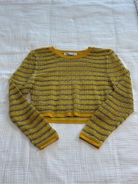 Zara Yellow and Purple Striped Crochet Crop Sweater